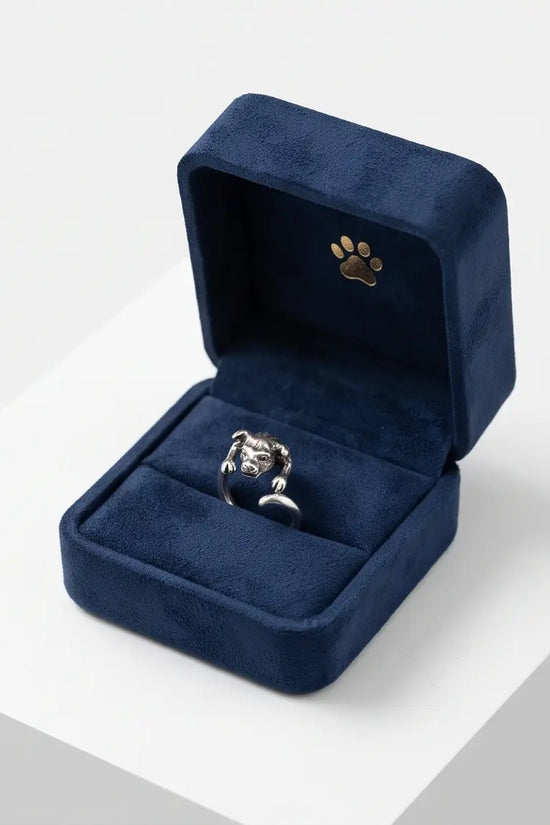 GUARDIAN SPIRIT RING