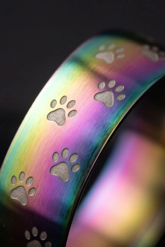 RAINBOW PAWS