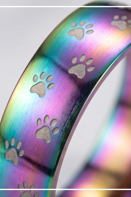 RAINBOW PAWS