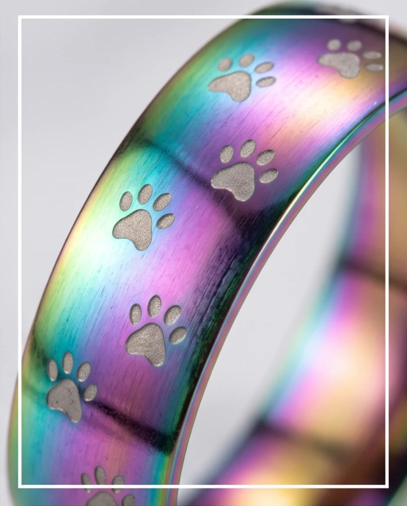 RAINBOW PAWS