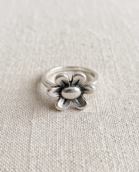 DAISY BLOOM