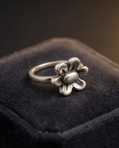 DAISY BLOOM
