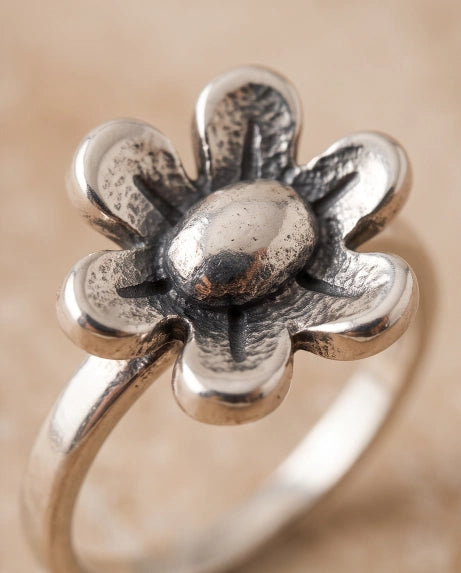DAISY BLOOM