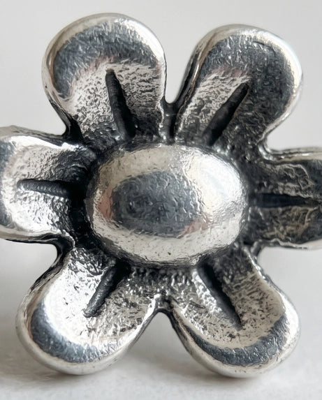 DAISY BLOOM